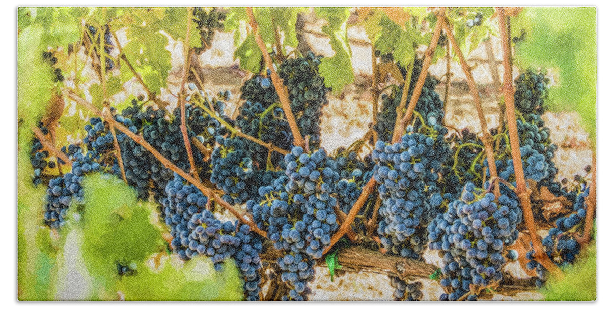 California Beach Towel featuring the photograph Ripe Grapes on Vine by David Letts