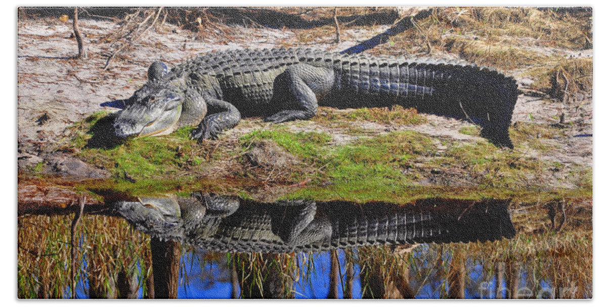 American Alligator Beach Sheet featuring the photograph Riverside Reflection by Al Powell Photography USA