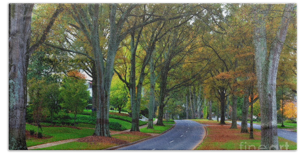 Willow Beach Towel featuring the photograph Road in Charlotte by Jill Lang