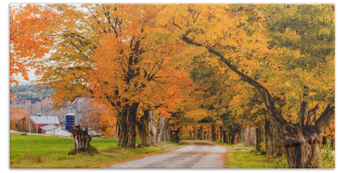 Trees Beach Sheet featuring the photograph Road to the Farm by Tim Kirchoff