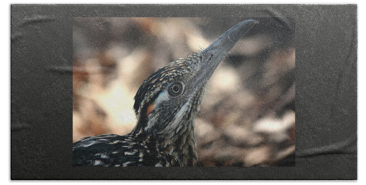 Nature Beach Sheet featuring the photograph Roadrunner Close-Up by Sheila Brown