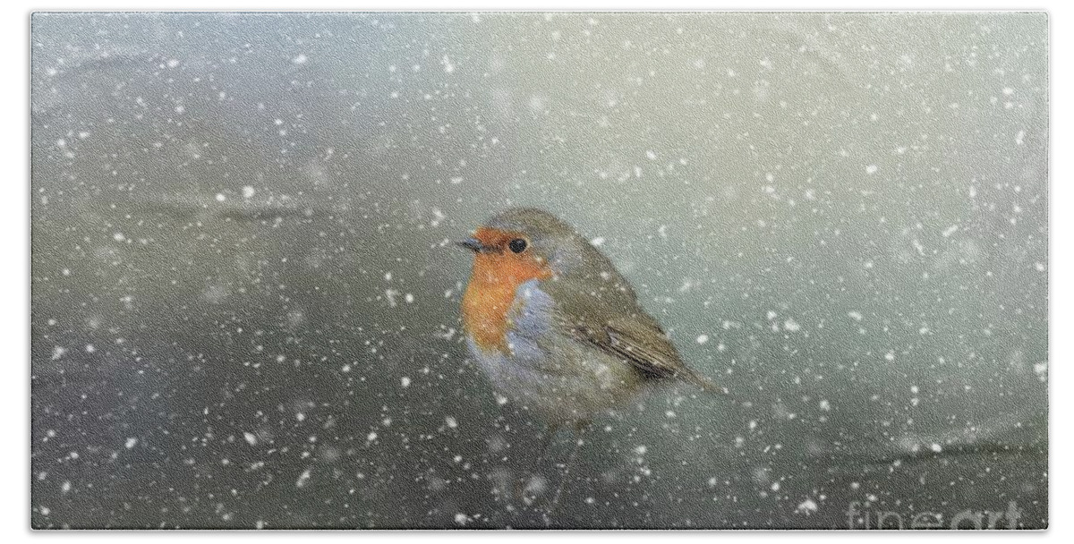 Robin Beach Sheet featuring the photograph Robin in Winter by Eva Lechner