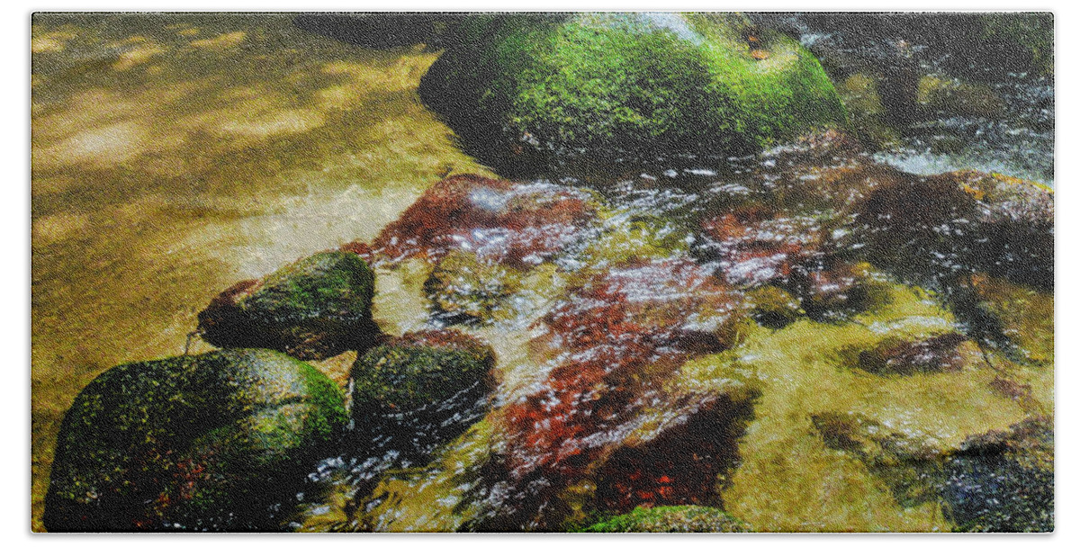 Tropical Queensland Series By Lexa Harpell Beach Towel featuring the photograph Rock Pool - Mossman Gorge, Far Narth Queensland, Australia by Lexa Harpell