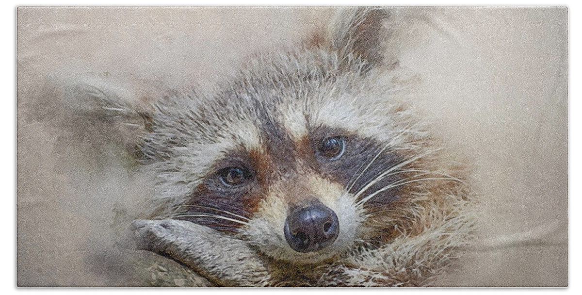 Procyon Lotor Beach Towel featuring the photograph Rocky Raccoon by Brian Tarr