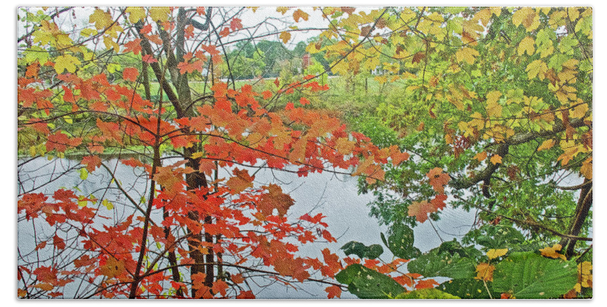 Rogue River Through Autumn Leaves In Rockford Beach Towel featuring the photograph Rogue River through Autumn Leaves in Rockford, Michigan by Ruth Hager
