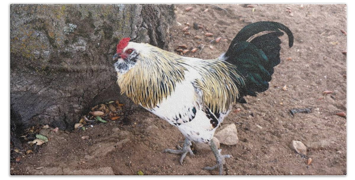 Rooster Beach Sheet featuring the photograph Rooster by Julia Ivanovna Willhite