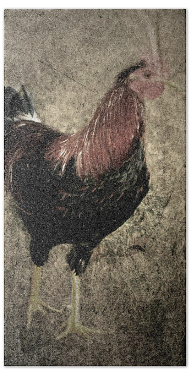 Rooster Beach Sheet featuring the photograph Rooster Red Art Textured Vignette by Lesa Fine