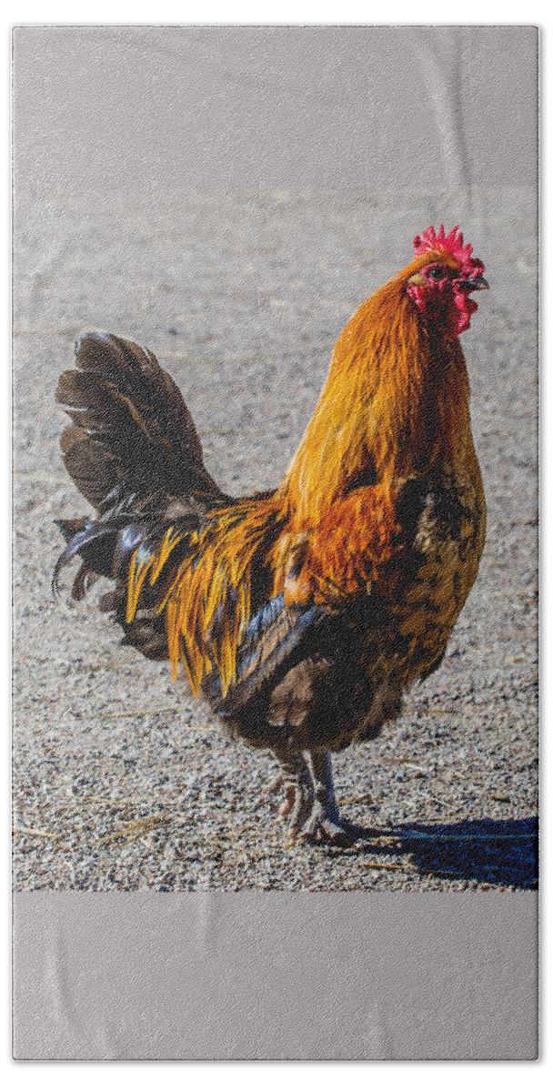 Rooster Beach Towel featuring the photograph Rooster by Torbjorn Swenelius