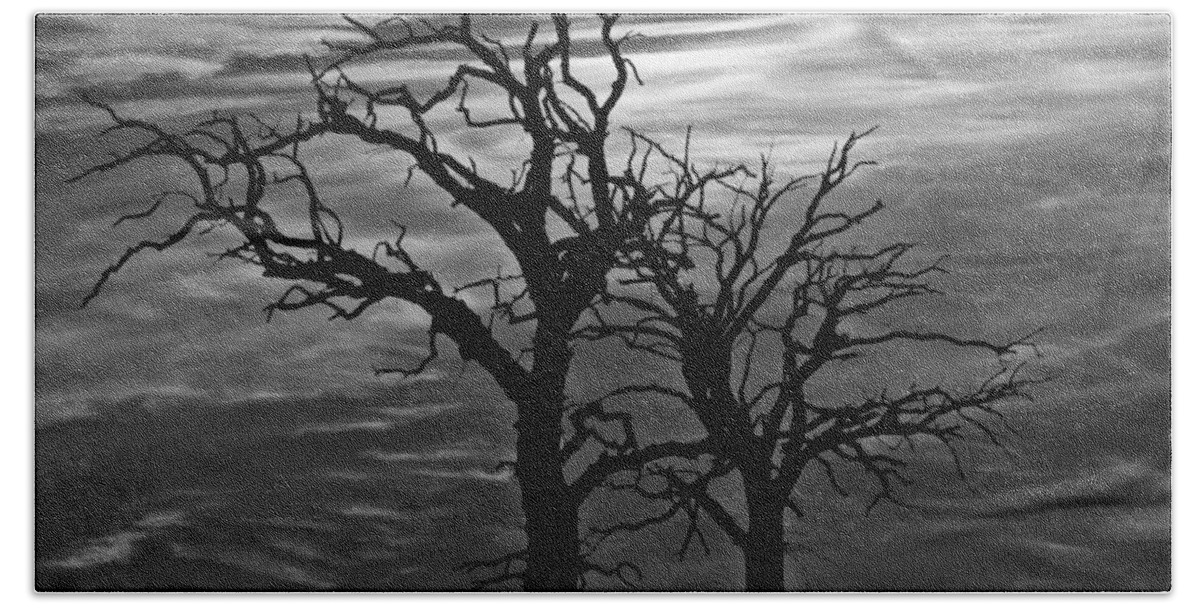 Roots In Black And White Beach Sheet featuring the photograph Roots In Black And White by Kathy M Krause