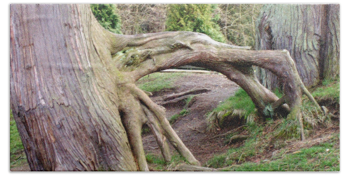 Tree Beach Sheet featuring the photograph Roots of Strength by Mary Mikawoz