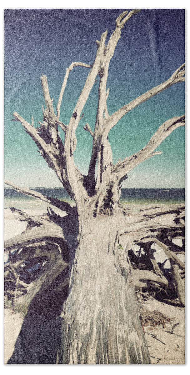 Florida Beach Towel featuring the photograph Roots to the Sky-Vintage by Chris Andruskiewicz