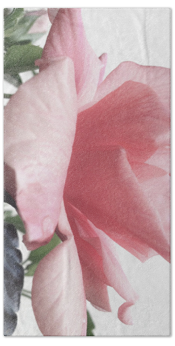 Flower Beach Towel featuring the photograph Rosa Rose by Cesar Vieira
