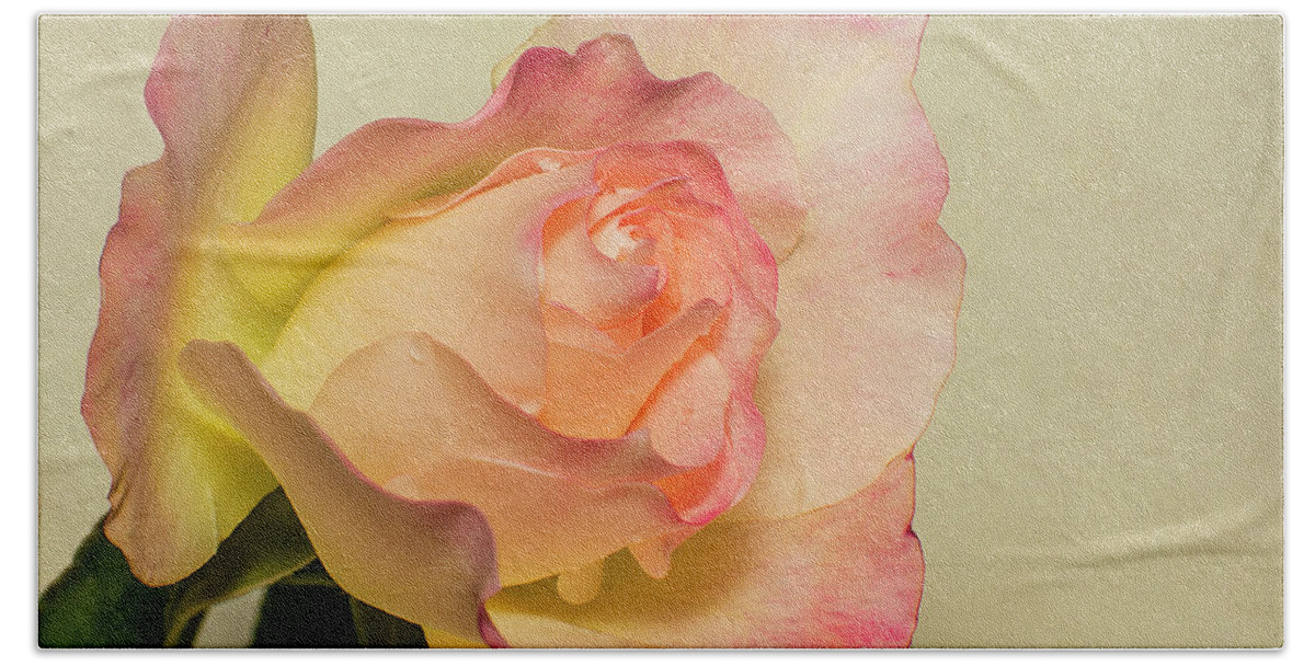 Rose Beach Sheet featuring the photograph Rose 5166 by Cathy Kovarik