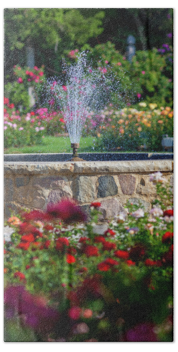 5dii Beach Sheet featuring the photograph Rose Fountain by Mark Mille