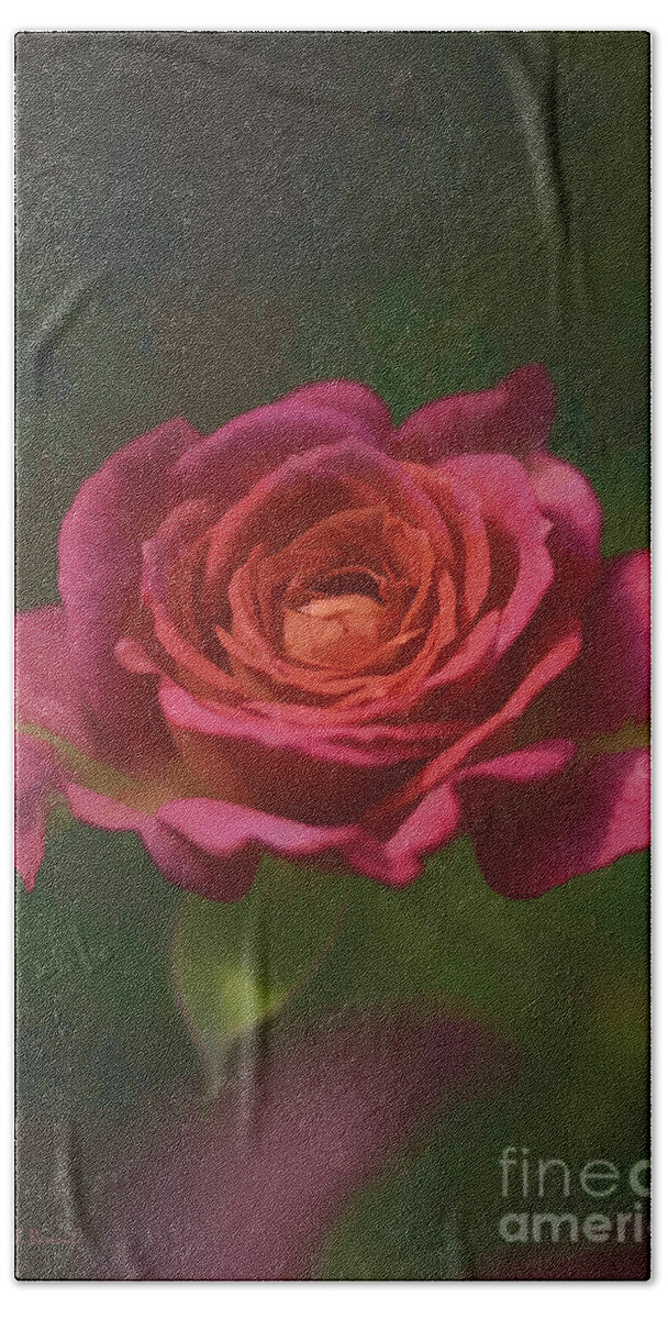Flower Beach Towel featuring the photograph Rose Fragrance by Deborah Benoit