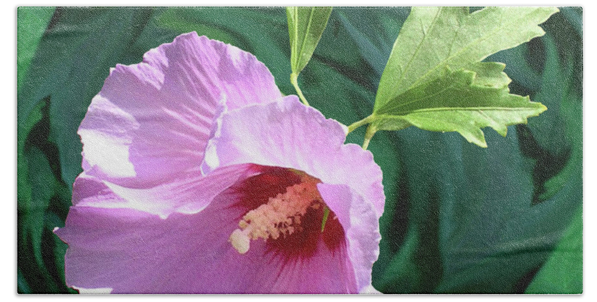 Rose Of Sharon Beach Sheet featuring the photograph Rose of Sharon by Alison Stein