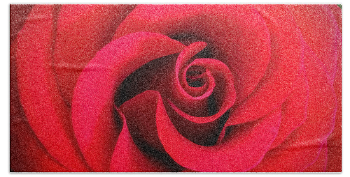Art Beach Sheet featuring the photograph Rose Red 1 by Ronda Broatch
