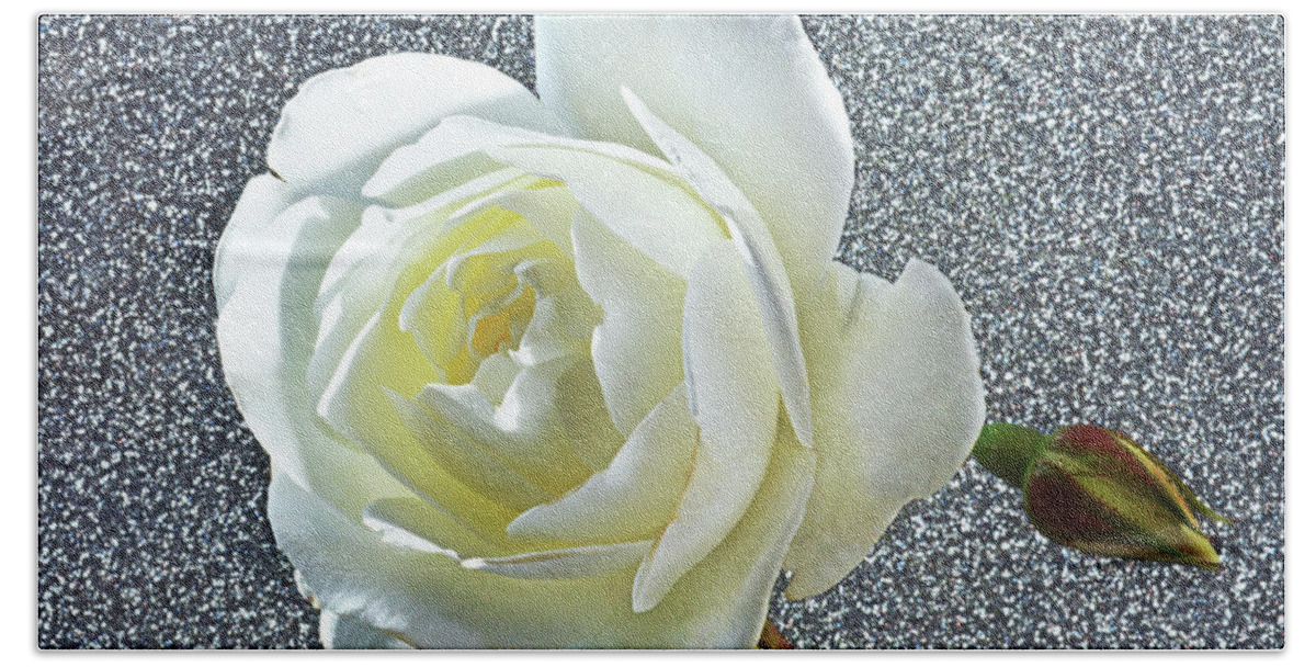 White Rose Beach Towel featuring the photograph Rose With Some Sparkle by Terence Davis