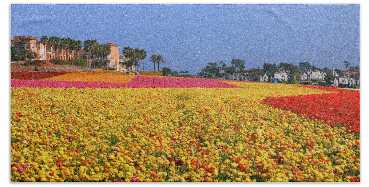 Carlsbad Beach Towel featuring the photograph Rows in Bloom by James Kirkikis