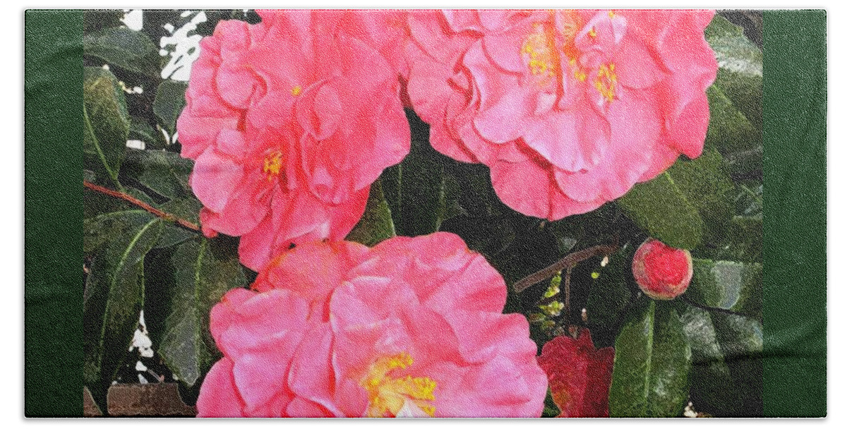 Camellias Beach Towel featuring the painting Ruffled Petals by Hazel Holland