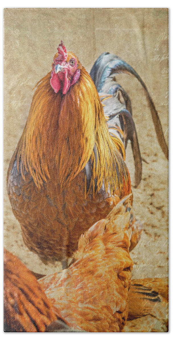 Chicken Beach Towel featuring the photograph Ruler of the Roost by Jennifer Grossnickle