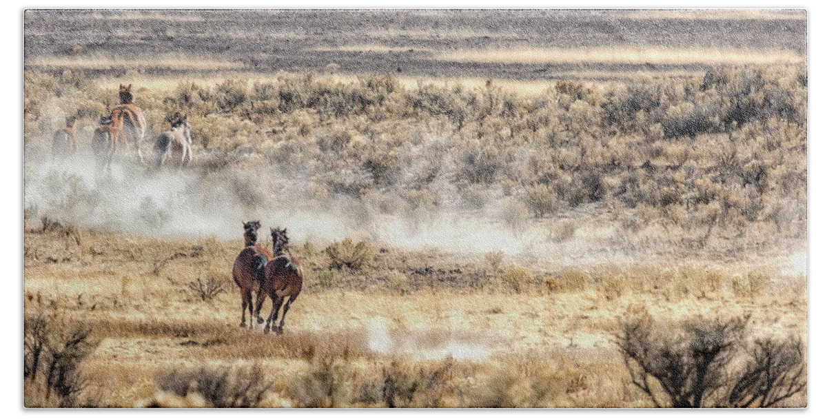 Mustangs Beach Towel featuring the photograph Running Mustangs, No. 3 by Belinda Greb