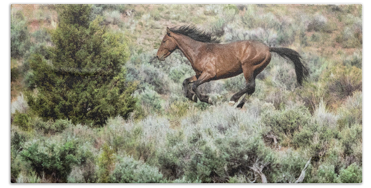 Wild Horses Beach Sheet featuring the photograph Running Through Sage by Belinda Greb