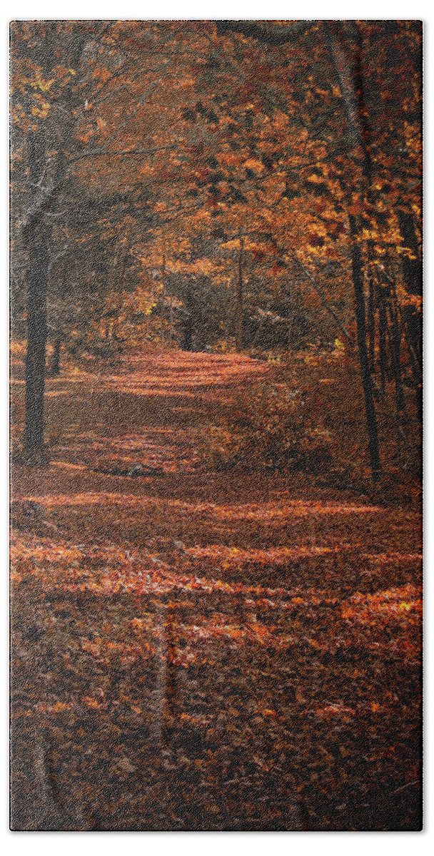 Autumn Beach Towel featuring the photograph Rustling Pathway by Gary Blackman