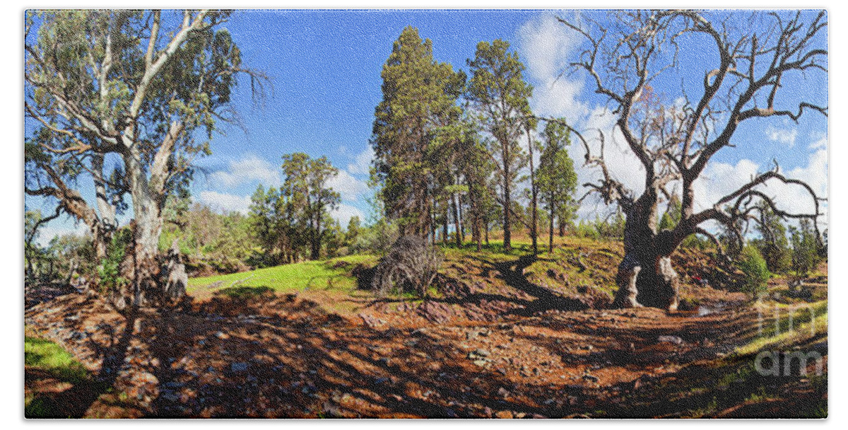 Sacred Canyon Flinders Ranges South Australia Australian Landscape Pano Panorama Outback Spring Beach Towel featuring the photograph Sacred Canyon, Flinders Ranges by Bill Robinson