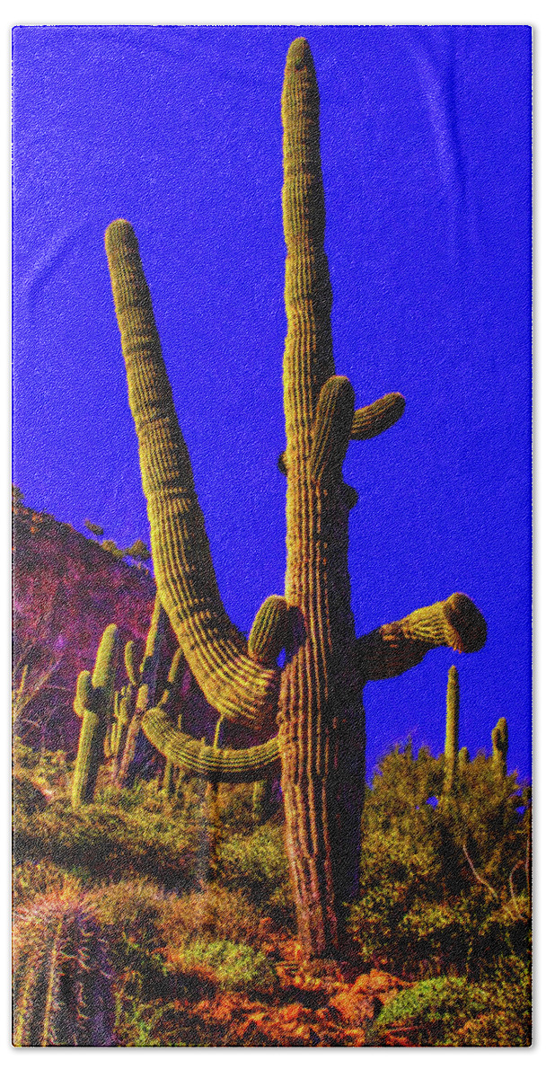 Arizona Beach Towel featuring the photograph Saguaros Everywhere by Roger Passman