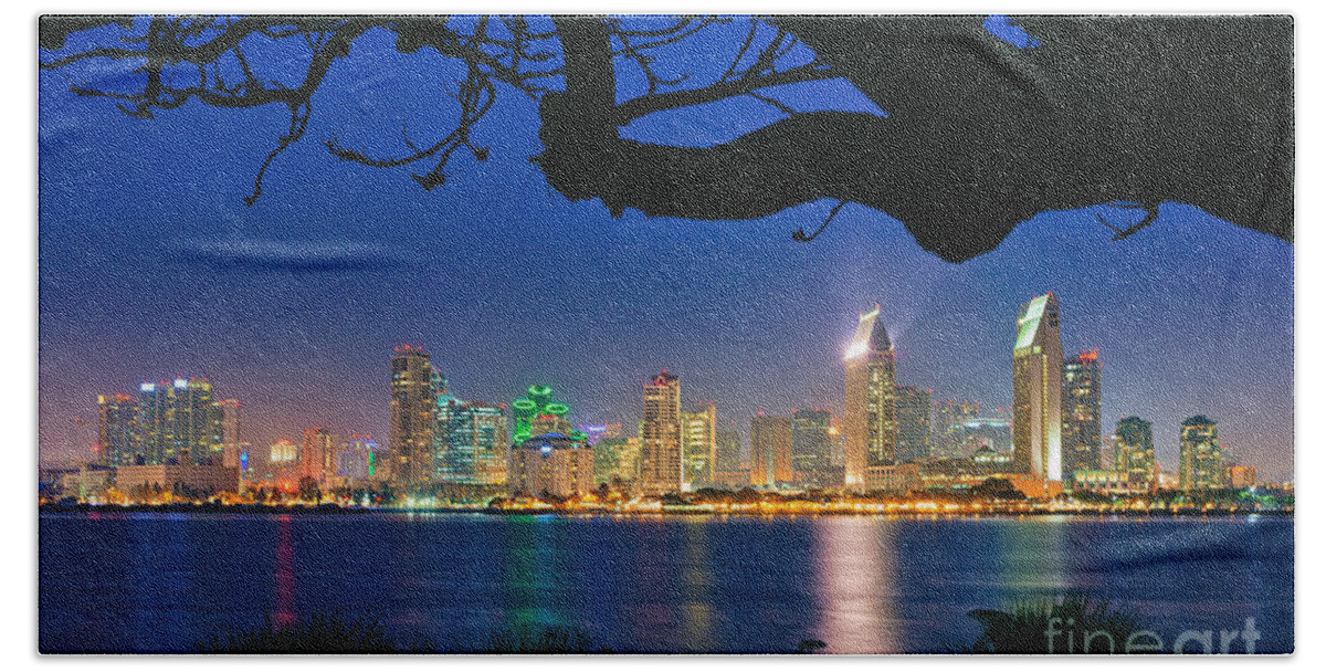 San Diego Beach Towel featuring the photograph San Diego Skyline from Bay View Park in Coronado by Sam Antonio