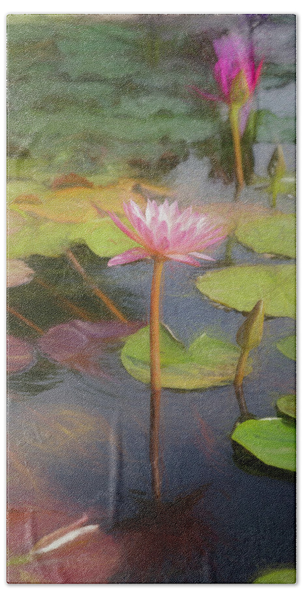 Water Lily's Beach Towel featuring the photograph San Juan Capistrano Water Lilies by Michael Hope