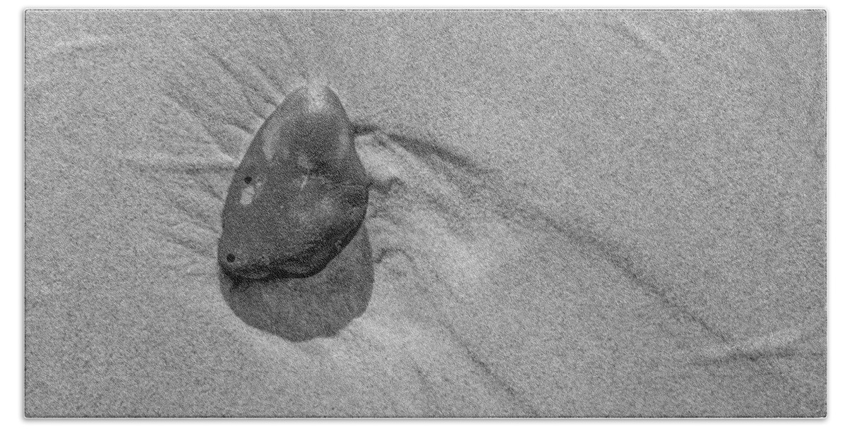 California Beach Towel featuring the photograph Sand Stone by Derek Dean