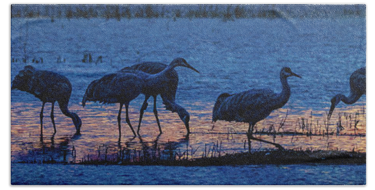 Animals Beach Towel featuring the photograph Sandhill Cranes at Twilight by Bruce Bonnett