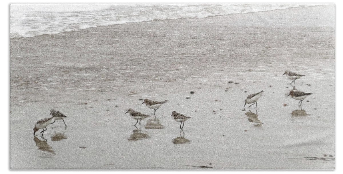 Sandpipers Beach Sheet featuring the photograph Sandpipers by Brooke T Ryan