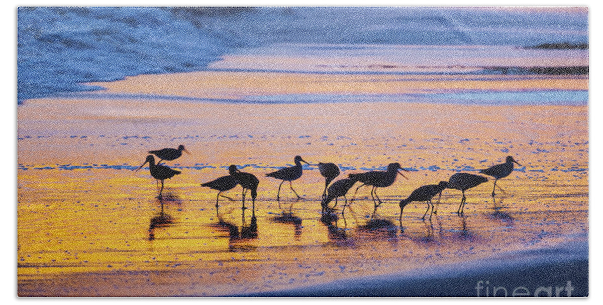 Group Beach Towel featuring the photograph Sandpipers in a golden pool of light by Sharon Foelz