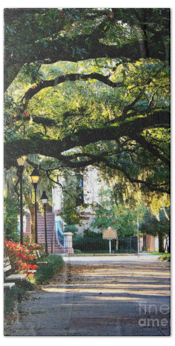 Savannah Beach Towel featuring the photograph Savannah Park Sidewalk by Carol Groenen