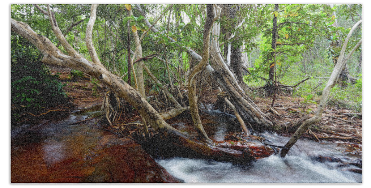Australian River Beach Sheet featuring the photograph Savannah Stream - Australia by Julian Wicksteed