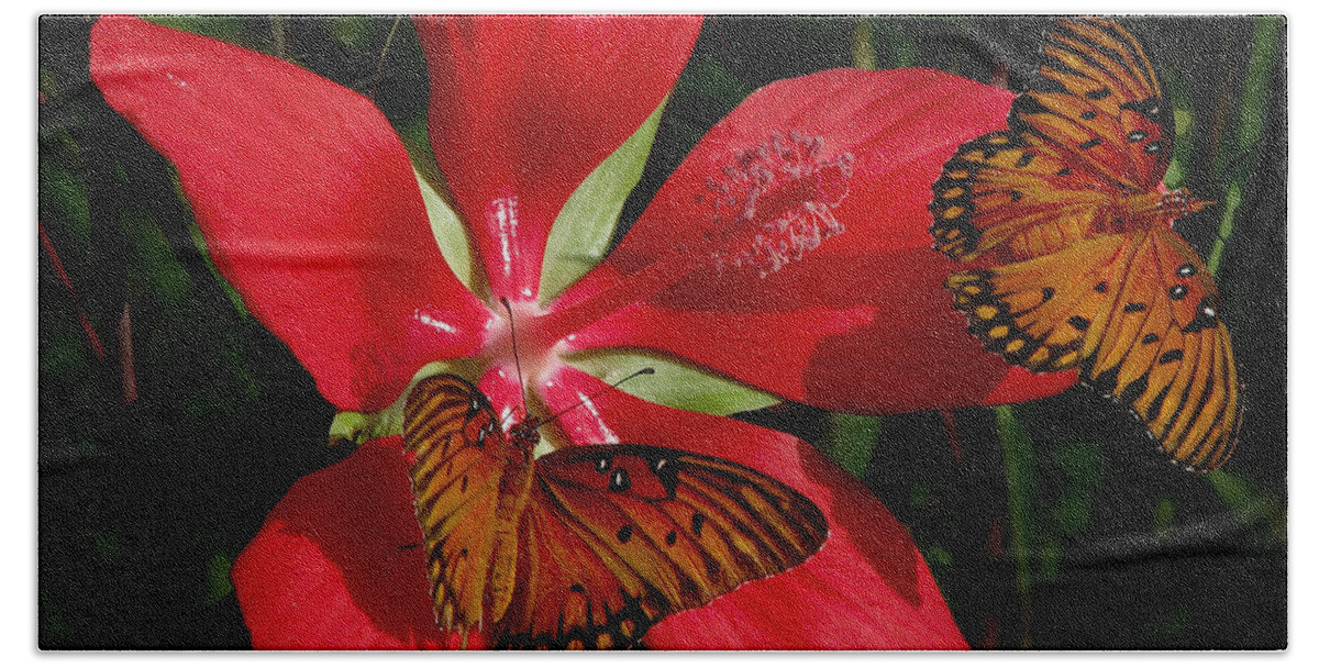 Nature Beach Towel featuring the photograph Scarlet Beauty by Peggy Urban