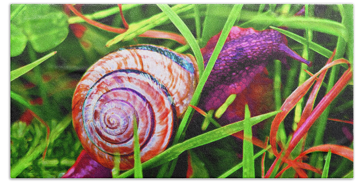 Adria Trail Beach Sheet featuring the photograph Scarlet Snail by Adria Trail
