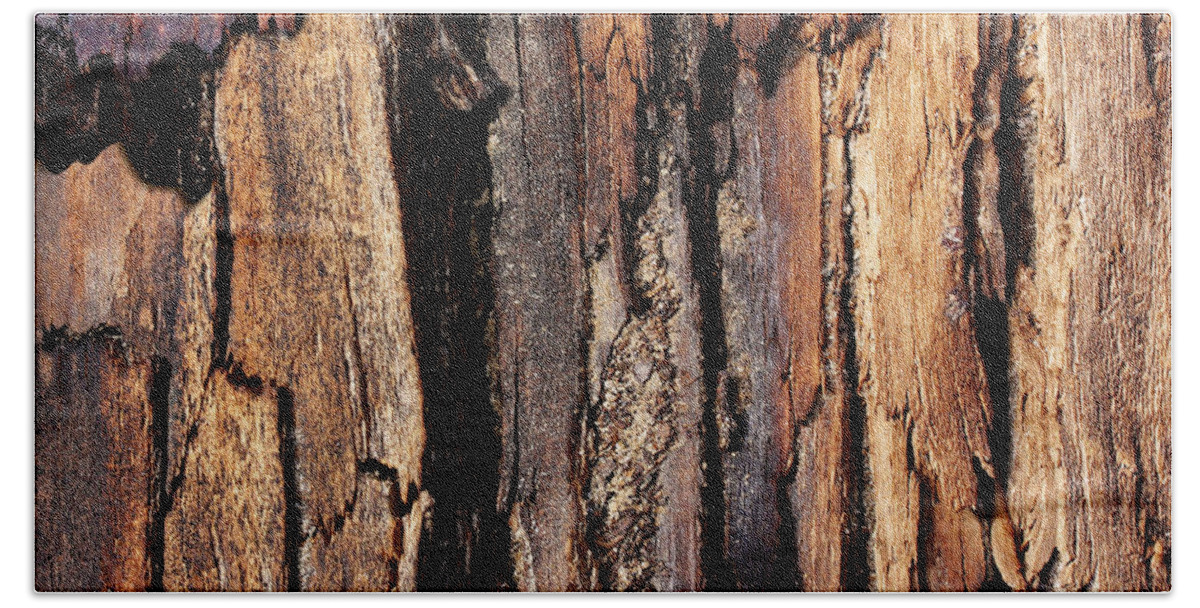 Fire On The Mountain - Scorched Timber Beach Sheet featuring the photograph Scorched Timber by Natalie Dowty