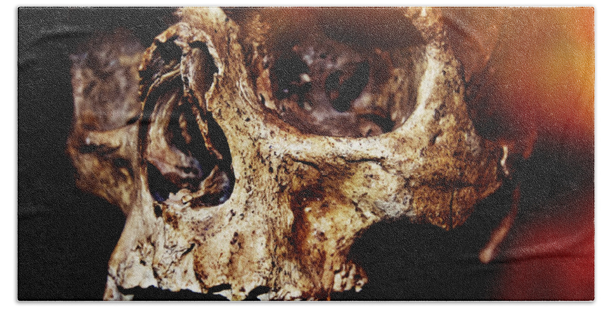 Halloween Beach Towel featuring the photograph Skull #2 by Iryna Liveoak