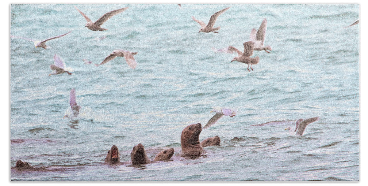 Sea Lions Beach Sheet featuring the photograph Sea Lions and Gulls - Herring Spawn by Peggy Collins
