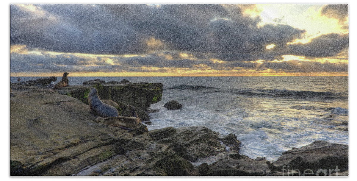 Sea Beach Sheet featuring the photograph Sea Lions At Sunset by Eddie Yerkish