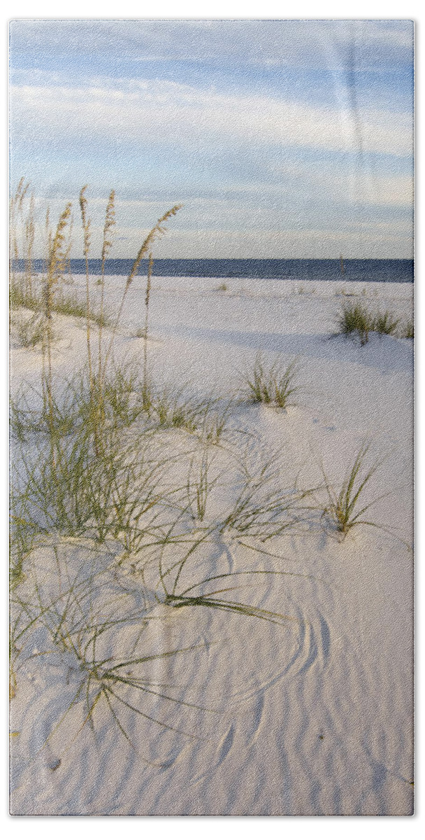 Fl Beach Towel featuring the photograph Sea Oats and Blue Sky by Bill Chambers