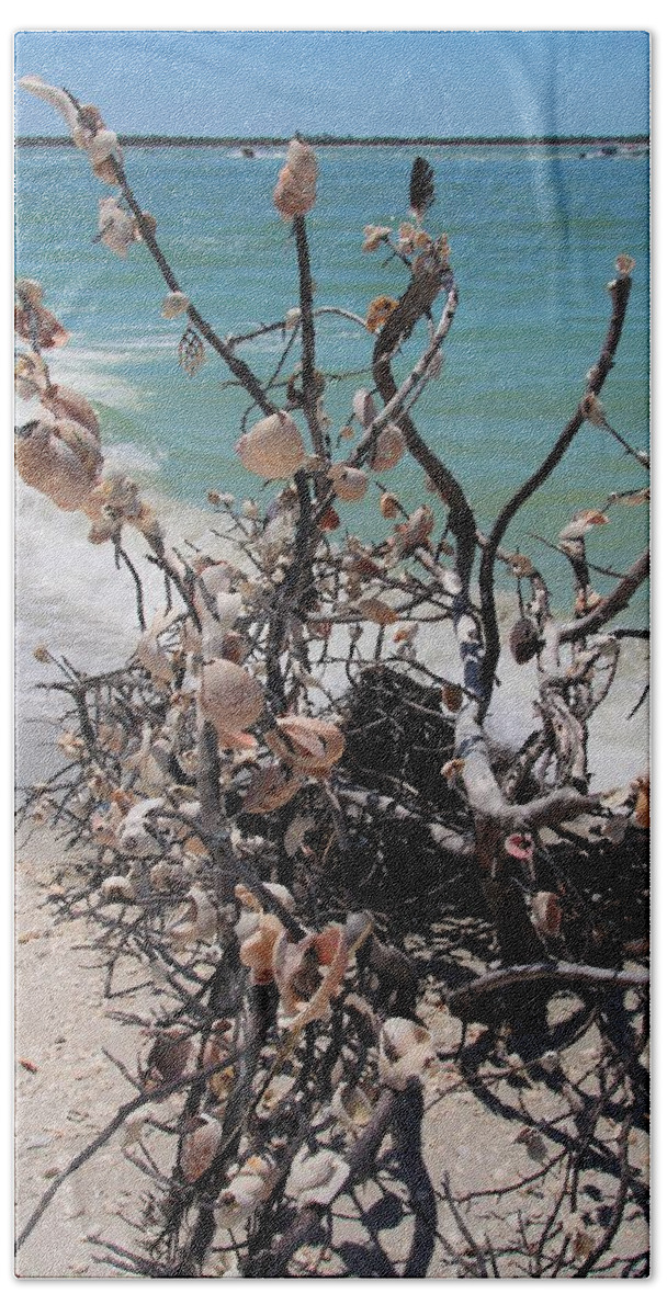 Sea Shells Beach Towel featuring the photograph Sea Shell Samba I by Michiale Schneider