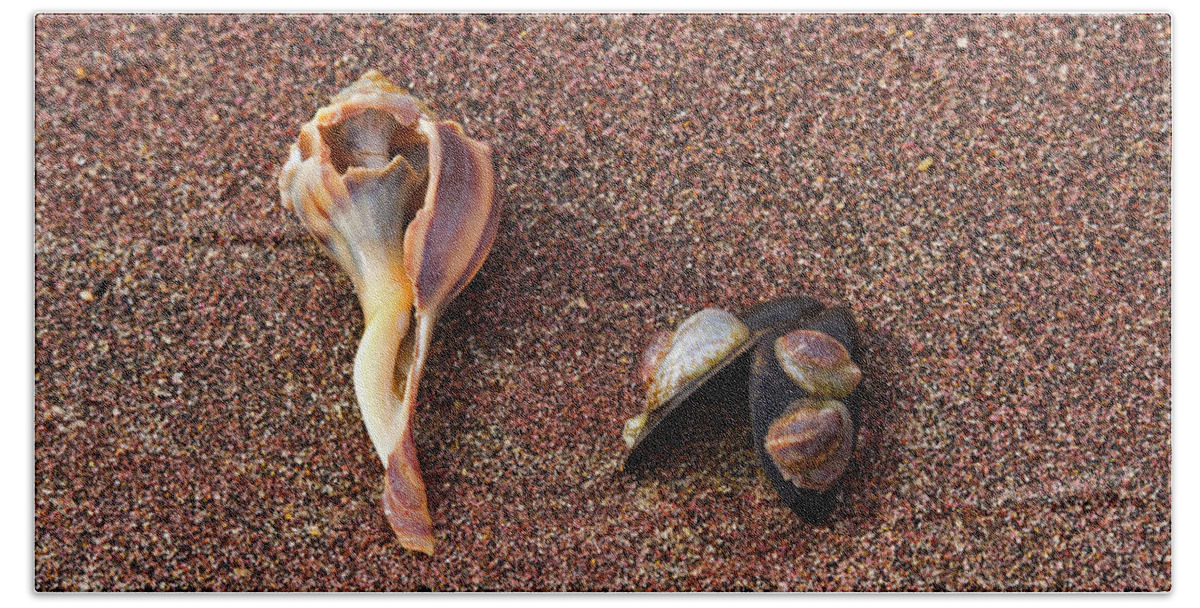 Sea Shells Beach Towel featuring the photograph Sea shells by David Freuthal