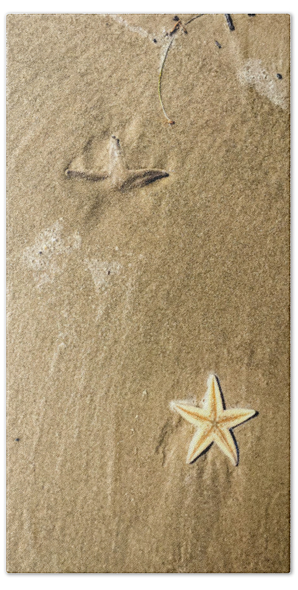 Sea Star Beach Towel featuring the photograph Sea Stars Wash Ashore by Debra Martz