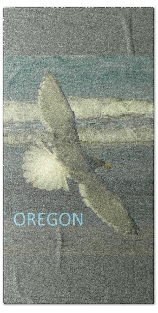 Seagull Beach Towel featuring the photograph Seagull Beauty by Gallery Of Hope 