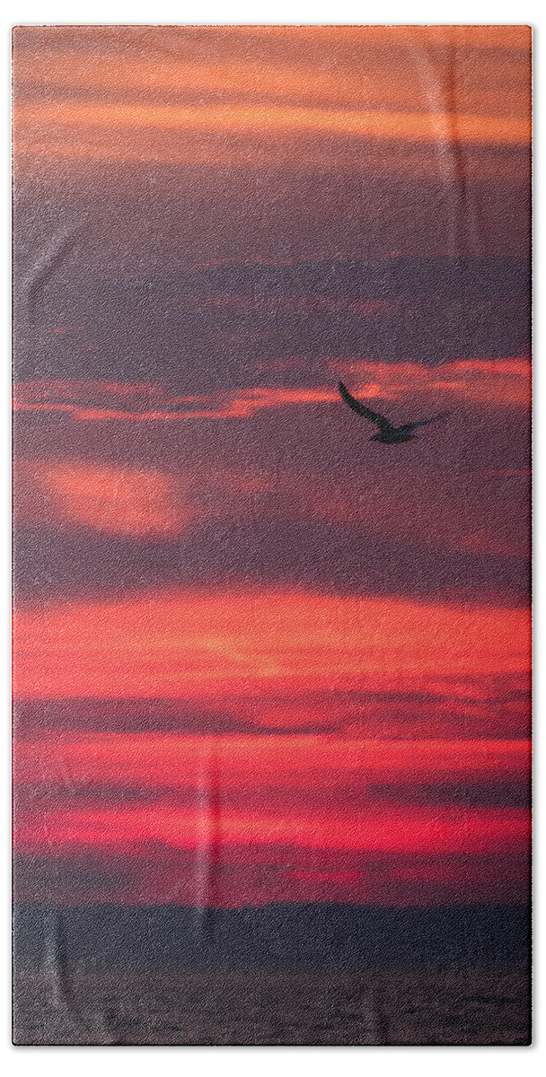 Terry D Photography Beach Towel featuring the photograph Seagull Flying At Sunset Jersey Shore by Terry DeLuco
